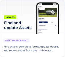 Assets in the app