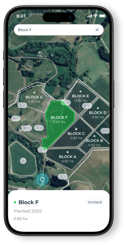 Blocks (app) (1)