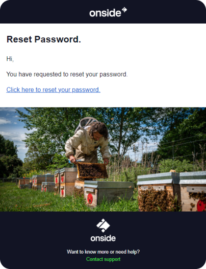 Reset password email