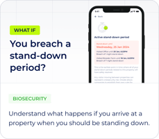 what to do if you breach stand-down